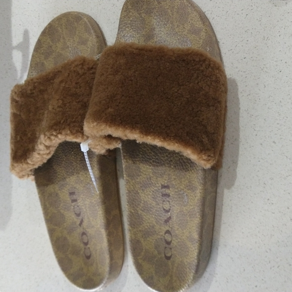 Coach 1941 Signature Shearling Pool Slides - Picture 4 of 5